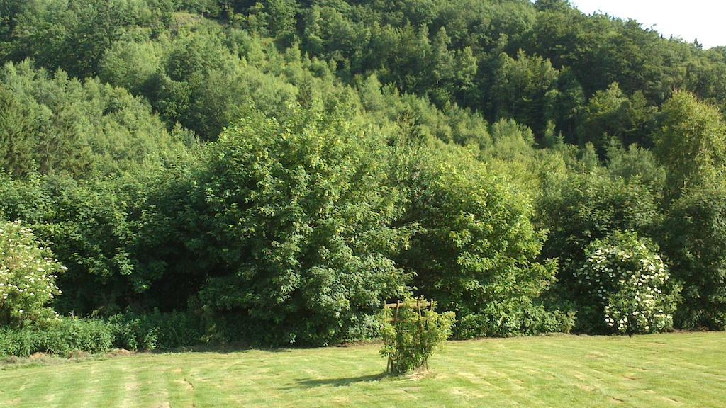 Villa La Clé des Champs Bertogne Exterior foto