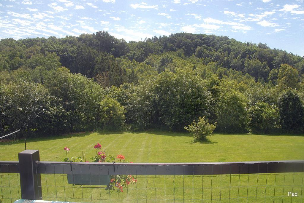 Villa La Clé des Champs Bertogne Exterior foto